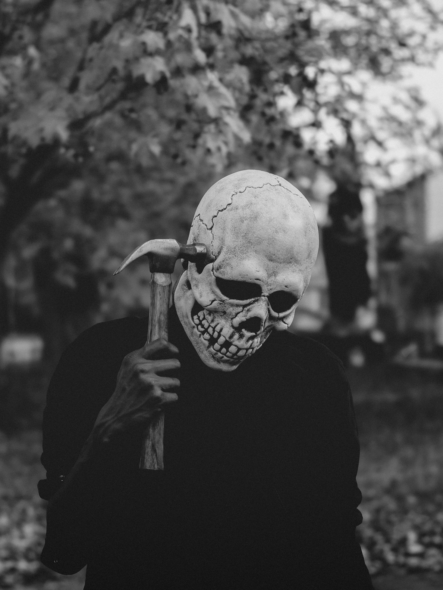 The Influence of Cinematic Horror on Life Advice